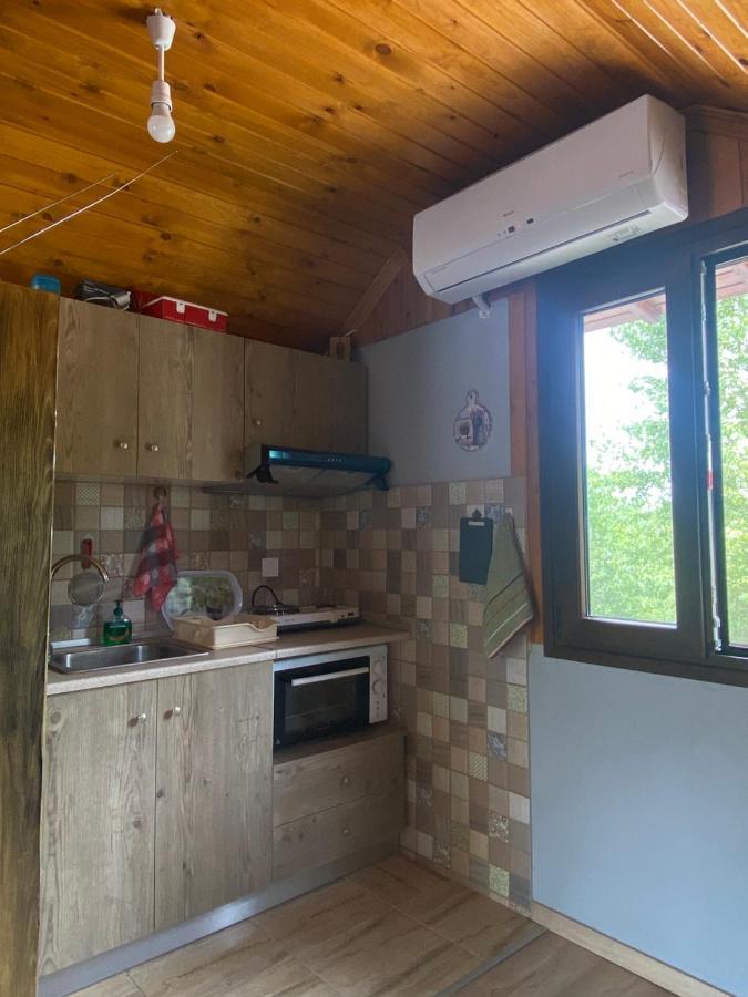 Γαληνη 3 Villa Litochoro Exterior photo